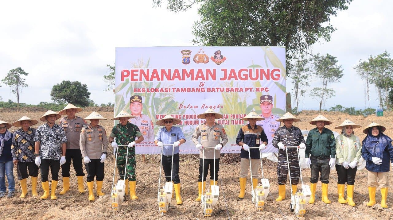Polri Bergerak, Sulap Tanah Tambang Menjadi Ladang Jagung, Dukung Ketahanan Pangan di Kaltim