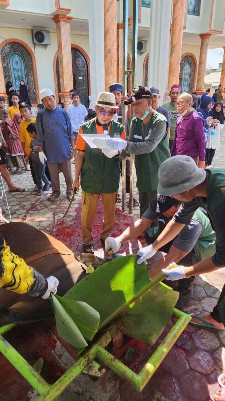 Bupati Ardiansyah Salurkan Bantuan Sapi Kurban di Masjid Assalam