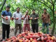 Desa Karangan Hilir Luar Biasa ! – Jadi Penghasil Kakao Terbesar di Kaltim