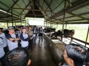 Kelola Lahan Pasca Tambang – KPC berdayakan SDM Lokal