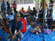 Masjid Jaamii’ul Muhtadiin Sembelih 9 Hewan Kurban – Panitia Pastikan Semua Warga Kebagian.