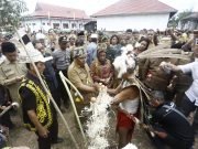 Ismu Disambut Semarak Adat Dayak Kenyah – Busang Menantikan PLN dan Tower Komunikasi