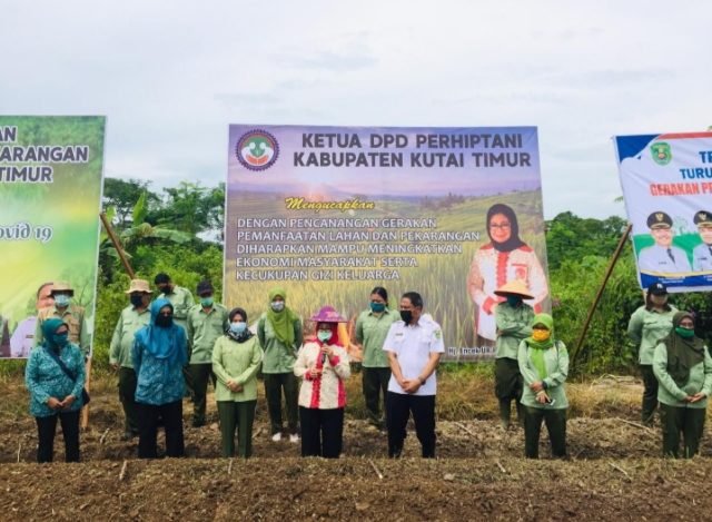 Ketua Perhiptani Kutim Dukung Pemkab - Produksi Pangan Alternatif Lewat Pemanfaatan Lahan Pekarangan