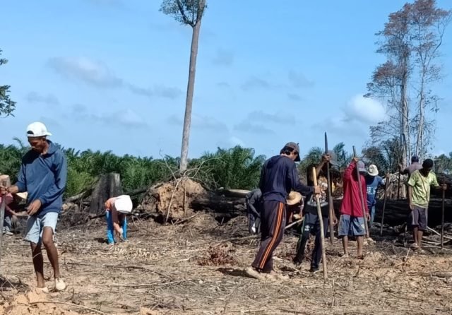 Pemerintah Kecamatan dan Desa Mendukung - Imbauan Bupati Kutim, Tanam Pangan di Pekarangan d
