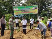 Busang Lakukan Gerakan Tanam di Lahan Pekarangan
