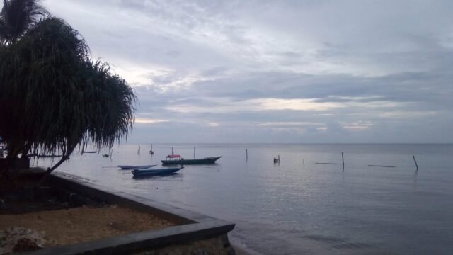 IMG-20210816-WA0005
