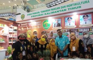 Mantap, Penjualan Pisang Grecek Kutim di ITTIE Batam Dikontrak Rp 37,4 M