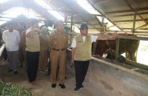 Penggemukan Sapi, Konsep Jempolan ZCD dari BAZNAS Kutim