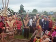 Lom Plai, Acara Budaya Kutim yang Masuk Agenda Nasional