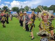 Panen Raya Padi di Busang Potensi Jadi Agenda Budaya dan Wisata