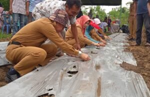 Terus Kembangkan Produksi, Tanam Raya Poktan PKS Diapresiasi Ardiansyah