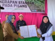 DTPHP Kutim Garap GAP Pisang Kepok Grecek – Tingkatkan Nilai Ekonomi Hingga Produk Turunan