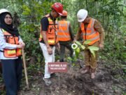 Wakil Bupati Mahyunadi Tanam Pohon Ulin di Arboretum IMM, Upaya Pelestarian Lingkungan
