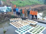 Ardiansyah Tanam Padi Terapung dan Lepas Ikan di Tepian Langsat