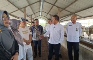 Pemkab Kutim Pelajari Pengelolaan Peternakan Sapi Modern di PT AFUB