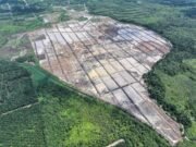 Kodim 0909/KTM Cetak Sawah Rakyat, Ikhtiar Teguhkan Ketahanan Pangan