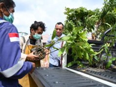 KPC Hijaukan RSUD Kudungga dan Sekolah dengan Bibit Pohon
